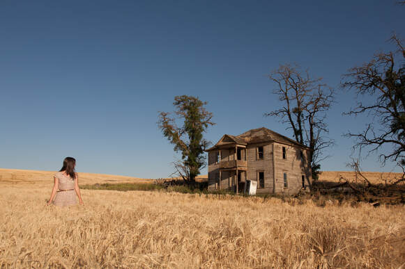 Abandoned farmhouse in a field of wheat  