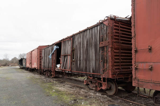 abandoned railroad box cars